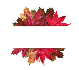 A Stunning and Vibrant Watercolor Autumn Leaves Frame Perfect for Various Seasonal Designs and Creations