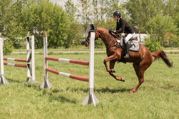 A young girl goes in for horse riding. A horse jumps over a barrier.