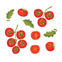 Ripe juicy tomatoes on a branch.Set of whole and cut fruits with leaves.Colorful vector design isolated on white background.Farm organic harvest.Vegetables illustration for use in banner template,card