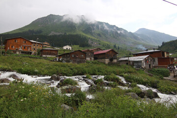 Obraz premium Elevit village, one of the plateau villages in the Kaçkar Mountains in the Black Sea region of Turkey, is fascinating with its magnificent nature and flowing streams.