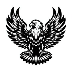 Fototapeta premium eagle with wings