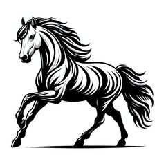 horse illustration