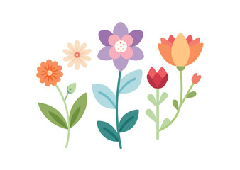 floral flowers minimal isolated flat vector pro collection illustration on white background.