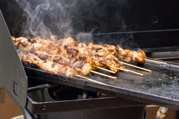 shish kebab on the grill