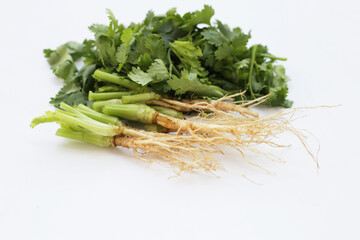 Fresh organic coriander, leaves with roots. Vegetables and herbs