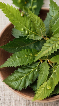neem leaves on the ground