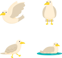 Four vector illustrations of cute cartoon seagulls in different poses on a white background