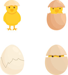 Set of four cute cartoon illustrations depicting the stages of a chicken's lifecycle