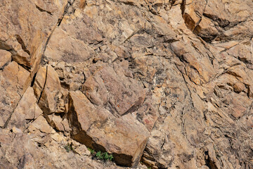 Volcanic rocks of the Cantwell Formation, Denali National Park and Preserve, The East Fork River bridge
