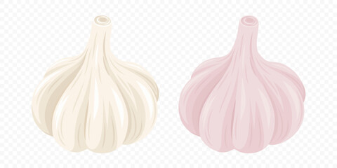 Vector Garlic Bulb Icon Set. Two Garlic Heads, Pink and Yellow or Beige Color, Closeup Isolated. Vegetable Vector Illustration in Flat Style. Whole Hand Drawn Garlic Head. Culinary and Food Concept