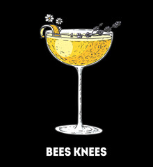 Bees Knees cocktail illustration. Hand drawn sketch. Vector illustration. Isolated object.