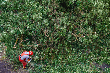 Rescue worker deal with the aftermath of the hurricane and cut down a fallen tree.