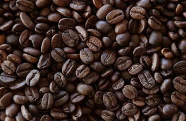 Roasted coffee beans