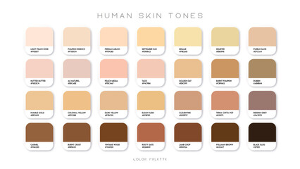 Human skin tone color palette set. Abstract concept for person face, body, cosmetics. Beige background collection