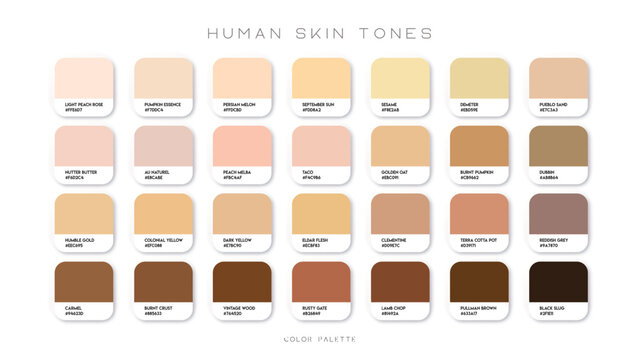 Human skin tone color palette set. Abstract concept for person face, body, cosmetics. Beige background collection