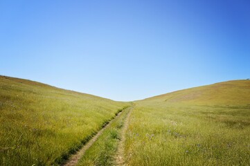 Obraz premium path in the field