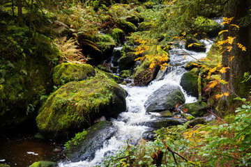 Scenic Triberg water falls in Black forest, Germany. Long exposure shot.