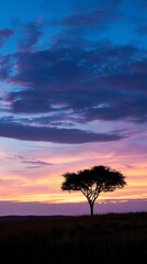 Lonely tree against a vibrant sunset in the savannah