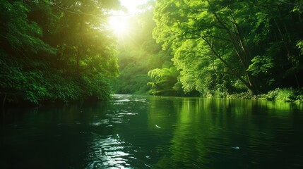 Fototapeta premium A river with a lot of trees and the sun shining on it. The water is very clear and the trees are green