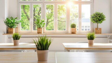 A window with potted plants on the windowsill. The plants are green and the sunlight is shining through the window. The room has a clean and organized look