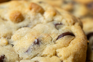 Super Close up of homemade chocolate chip cookie with selective focus