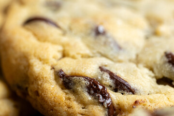 Super Close up of homemade chocolate chip cookie with selective focus