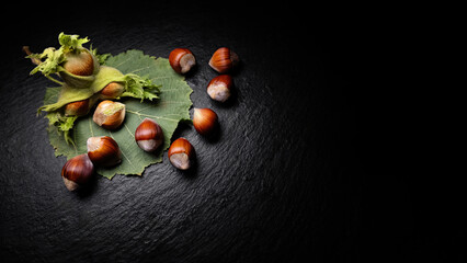 Hazelnuts in shell with leaves on a black stone