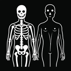 Hauntingly beautiful human skeleton illustration for digital art, vector, cartoon, clipart, and line art designs.
