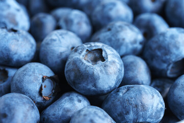 Fresh raw organic blueberries background. Food background, backdrop, wallpaper, summer harvest.