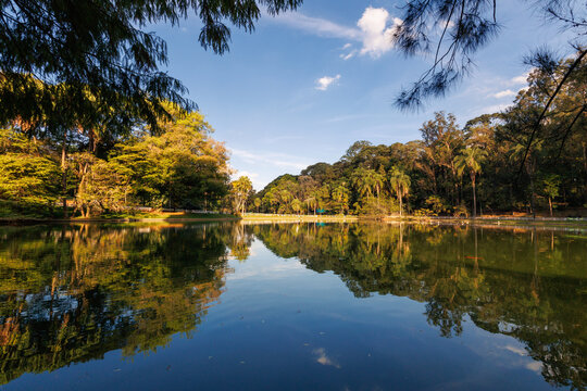 Fotografia do lago principal do Horto Florestal de S&atilde;o Paulo, parque localizado na zona norte da cidade de S&atilde;o Paulo, Brasil