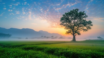 Free good morning scene wallpaper background photo
