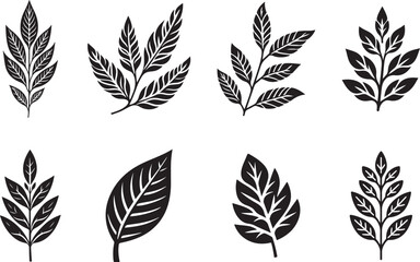 vine leaves, leaf, grape vine leaf vector, vine leaves icon, logo, silhouette