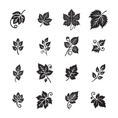 vine leaves, leaf, grape vine leaf vector, vine leaves icon, logo, silhouette