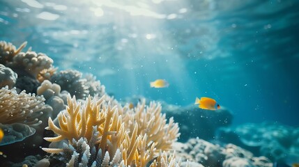 Obraz premium Ocean Shots Photography Underwater Clicks : Generative AI