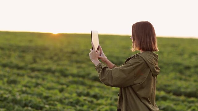 Smart farming soybean technology. Smiling female farmer with digital tablet uses for examine and check soya plants in field. Modern agribusiness of control of growth and development of sprouts.