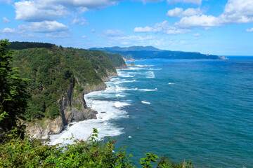 鵜の巣断崖から望むリアス式海岸