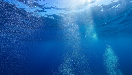 Below the surface of the deep blue sea