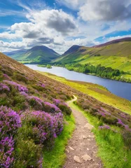 Colorful landscape scenery with a footpath through the hill slope covered by violet heather flowers and green valley, river, mountains and cloudy blue sky on background. Pentland hills, Scotland