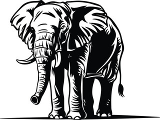 Obraz premium Big elephant standing vector