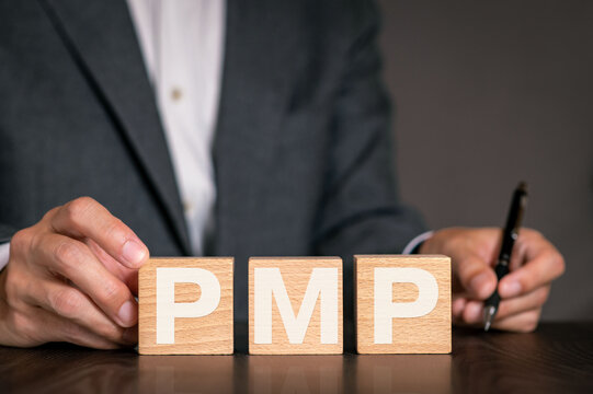 There is wood cube with the word PMP. It is an abbreviation for Project Management Professional as eye-catching image.