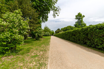 Pathway Lined with Lush Greenery in Chateau de Fontainebleau Gardens
