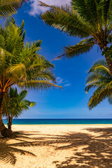 Summer background of Coconut Palm trees on white sandy beach Landscape nature view Romantic ocean bay with blue water and clear blue sky over sea at Phuket island Thailand.