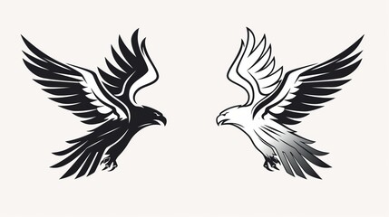 Fototapeta premium Golden eagle hawk. Portrait of a bird of prey photography