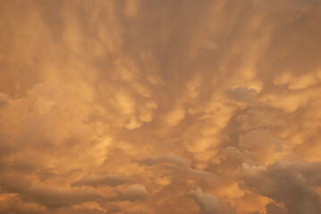 Fototapeta premium storm clouds illuminated by the sun