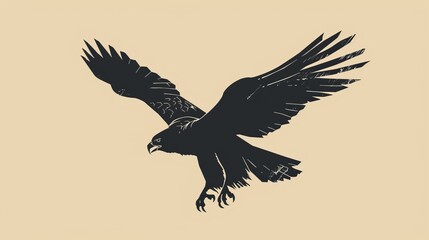 Obraz premium Golden eagle hawk. Portrait of a bird of prey photography