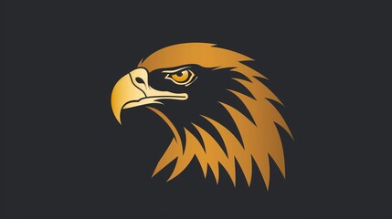 Fototapeta premium Golden eagle hawk. Portrait of a bird of prey photography