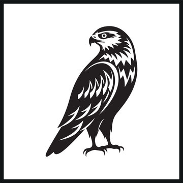 recommend clip art: falcon silhouette on white vector clipart