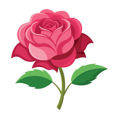 Illustration of Pink Colored Rose Mallow Flower