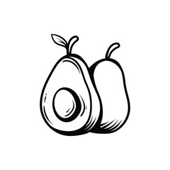 two avocados drawing coloring line art style sketch classic vintage design illustration