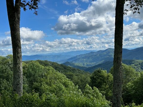 mountains and clouds in a natural tree frame